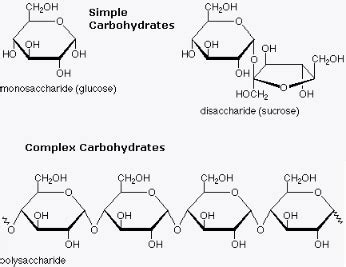 Carbohydrates: Carbohydrates Elements