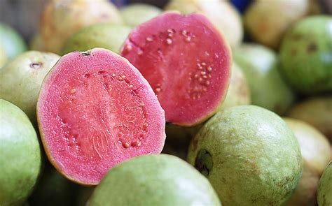 Important Benefits Of Pink Guava | Pragativadi | Odisha News, Breaking News Odisha, Latest ...