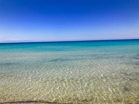 Sani Beach - Picture of Sani Beach, Sani - Tripadvisor