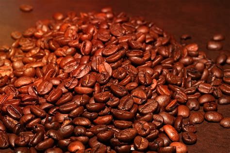 Coffee Roasted Aroma Coffee Beans Caffeine-12 Inch BY 18 Inch Laminated ...