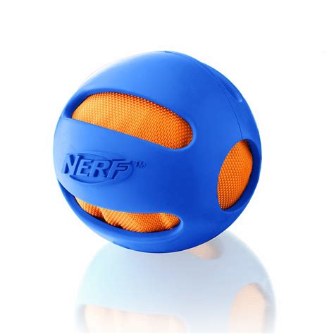 The Elka Almanac: Product Review: Nerf Dog