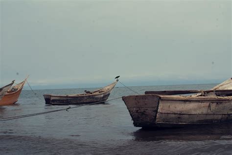 Free stock photo of sailing fishing boats lonely run away lake albert