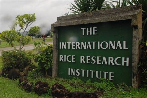 IRRI secures funding to fight climate change