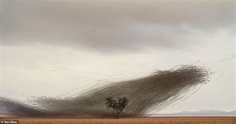 Mesmerizing photographs capture the incredible flight patterns of flocks of birds in slow motion ...