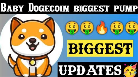 Baby Dogecoin Today Big Updates 🥳 BabyDoge Chart Analysis 💥 1000X Soon🚀 | Cryptocurrency Today ...