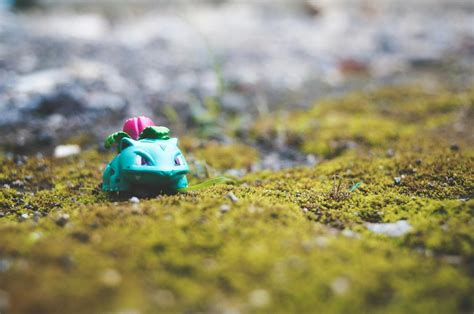 Free stock photo of #pokemon #toys #nature #green #pets