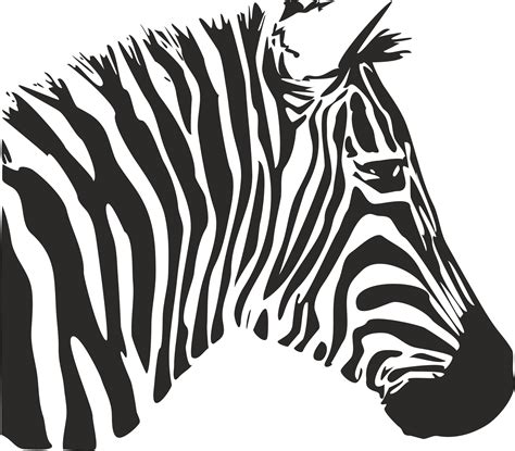 Zebra Stencil Free Vector cdr Download - 3axis.co