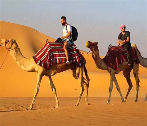 Camel Riding In Dubai | DUBAI ADVENTURES