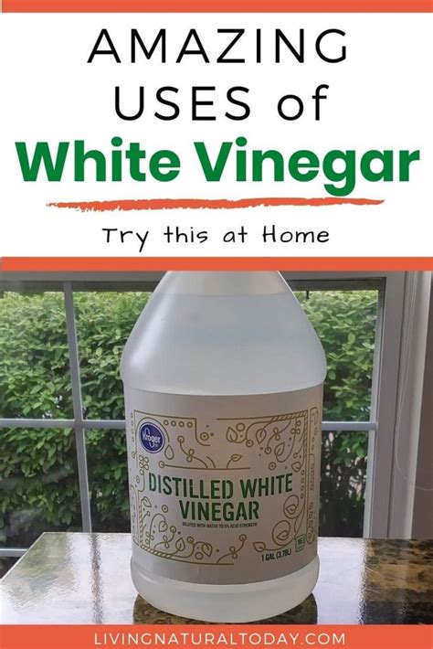 Amazing Uses of White Vinegar At Home - Living Natural Today