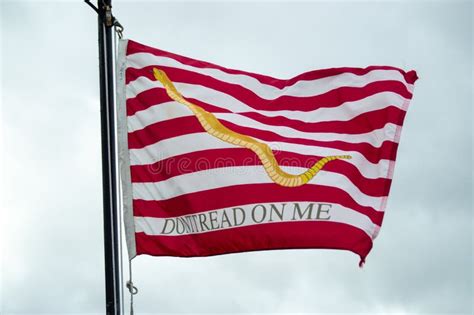 Don`t tread on me flag editorial stock image. Image of rattlesnake ...