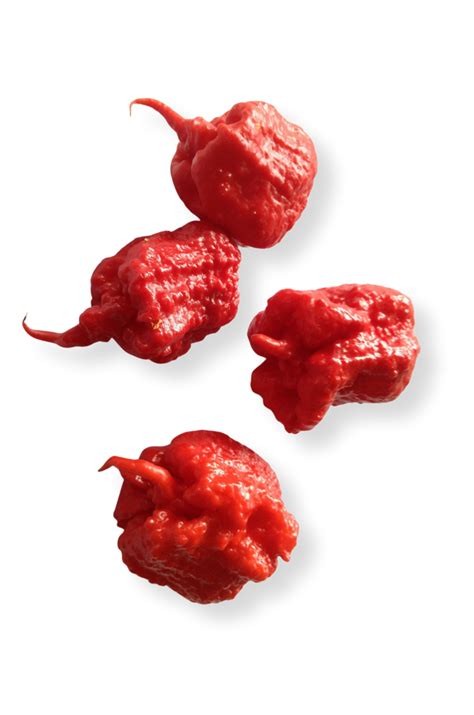 Smokin' Ed's Carolina Reaper® Seeds – PuckerButt Pepper Company