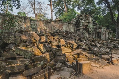 Premium Photo | Huge banyan tree ancient angkor wat ruins panorama ...