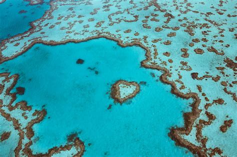 Travelers can now swim above this heart-shaped reef in Australia