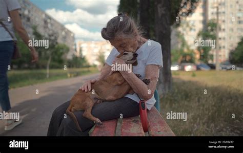 Animal theme is a lonely old woman best friend. Caucasian 90 years old senior female is happy to ...