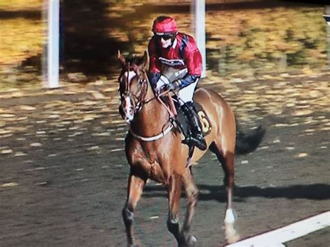 Alice Stevens has 1st flat win with 1st flat ride! – Amateur Jockeys Association of Great Britain