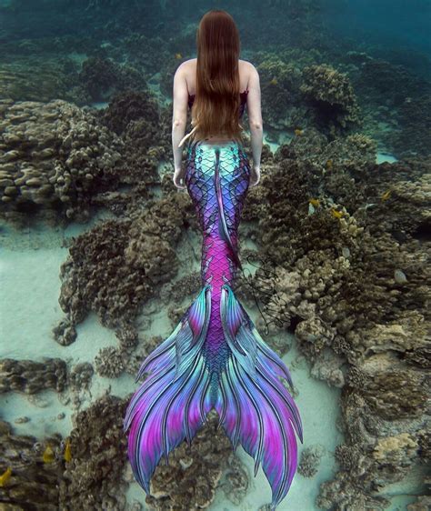 Pin by gery Pablo Ortiz on Sirenas | Mermaid photography, Mermaid tails ...