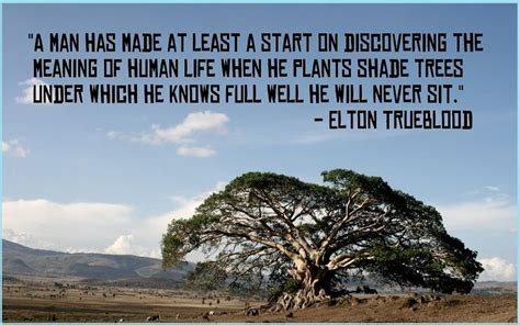 Motivational Trees Quotes & Sayings - TIS Quotes | Shade trees, Bonsai tree, Tree quotes