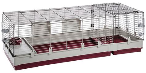 Guinea Pig Cage Size Guide - The Best Homes For Guinea Pigs