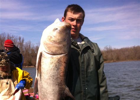 Murray State Professor Receives Grant to Study Asian Carp, Benefit ...