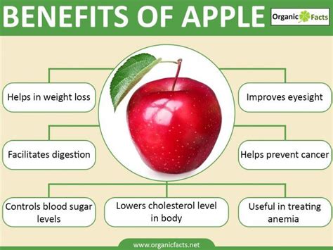 Apple Fruit Uses - Twin Fruit