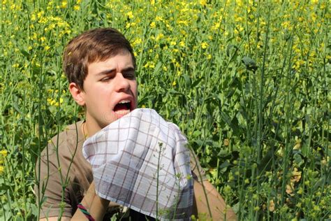 Pollen Allergy stock image. Image of hankie, funny, caucasian - 40948265