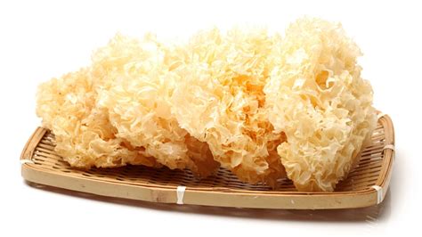 What are Tremella Mushrooms? (Everything you need to know ...