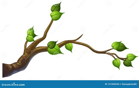 Tree Branch on White Background Stock Vector - Illustration of leaf, decoration: 131956934