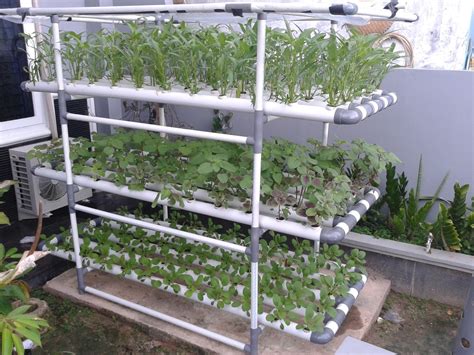 How To Make Easy Hydroponics at Home and Urban Farmer ~ Independent Agriculture