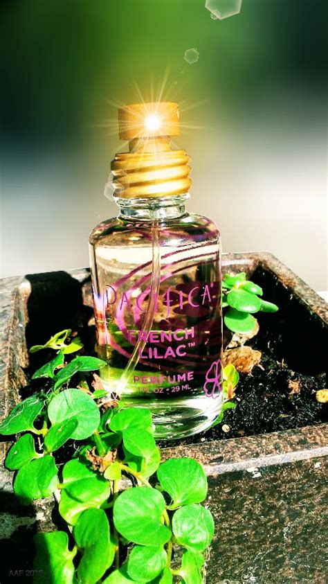 French Lilac Pacifica perfume - a fragrance for women