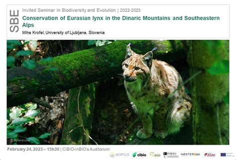 Conservation of Eurasian lynx in the Dinaric Mountains and Southeastern Alps - Events - Cibio