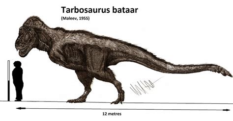 Tarbosaurus bataar by Teratophoneus on DeviantArt