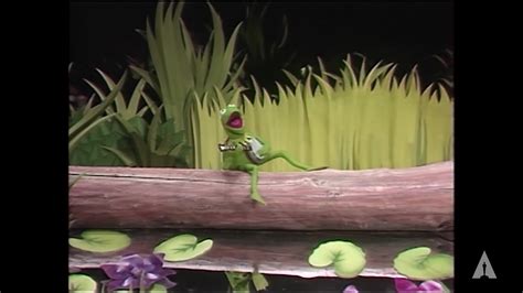 The Academy - Kermit the Frog performs "The Rainbow Connection" | 52nd Oscars (1980)