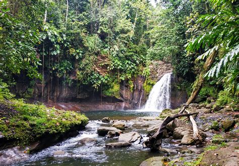 Rivers Guadeloupe - Julien Fishing Guide in Guadeloupe