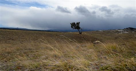 Thousands without power as high winds hammer Montana