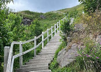 3 Best Hiking Trails in St. John's, NL - Expert Recommendations