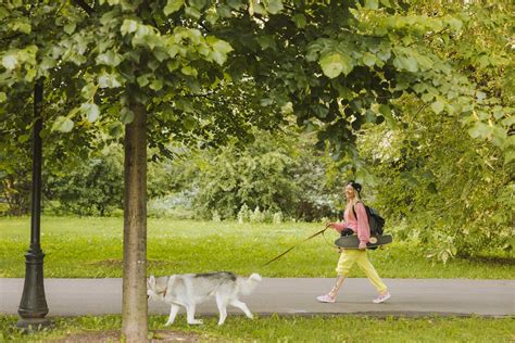 Woman Walking the Dog on Sidewalk · Free Stock Photo