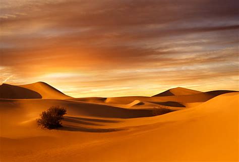 18,900+ Sahara Desert Sunset Stock Photos, Pictures & Royalty-Free Images - iStock