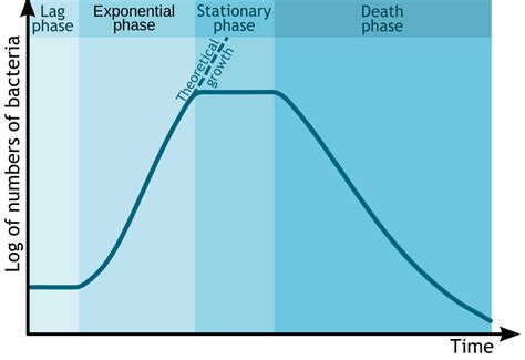 Microbial Growth – General Microbiology