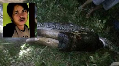 Man Found Inside Stomach Of A Python After He Was Swallowed Whole ...