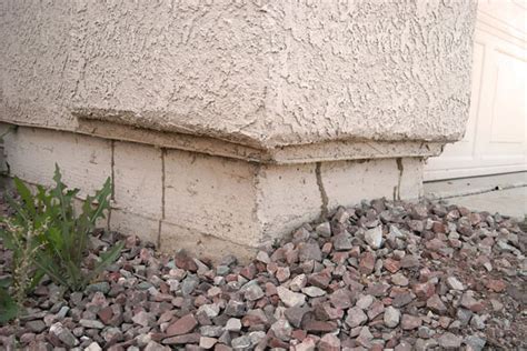 5 Signs of Termites in the East Valley - Orange Pest Control