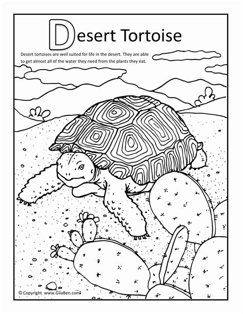 Desert Oasis Coloring Pages at GetColorings.com | Free printable ...