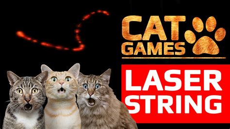 CAT GAMES - 😺 AMAZING LASER STRING (ENTERTAINMENT VIDEOS FOR CATS TO ...