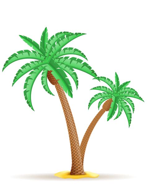 palm tree vector illustration 516531 Vector Art at Vecteezy