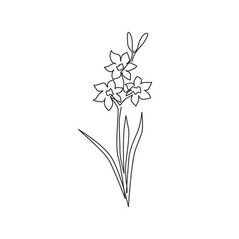 Daffodil Flowers Clip Art Images | Best Flower Site