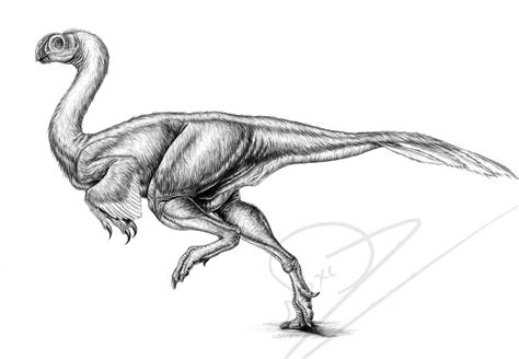 Gigantoraptor Running by ArtOfNoxis | Animales prehistóricos, Arte de ...