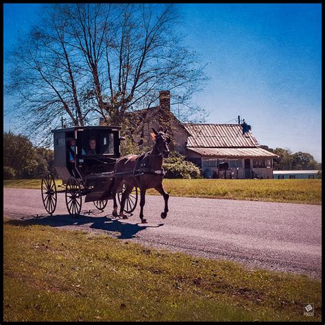 Amish Horse and Buggy - thephotohiker.comthephotohiker.com