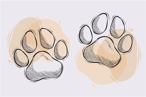 Premium Vector | Hand drawn dog or cat paws outline drawing of two pet ...