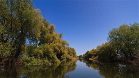 Flora Deltei Dunarii - Turism Delta