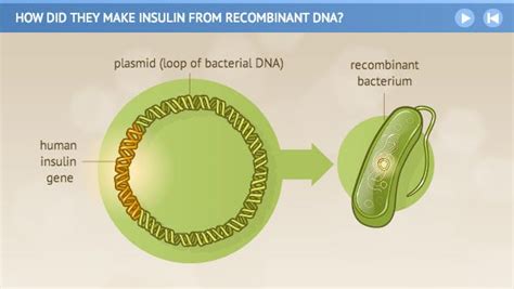 History of diabetes and insulin: Banting and Best - Business Insider