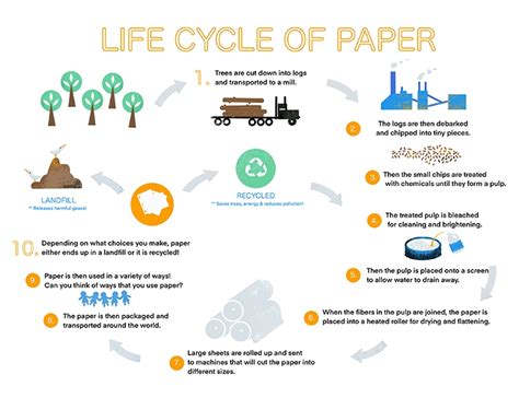 Printables - Life Cycle of Paper - Ages 9-12 | HP® Official Site